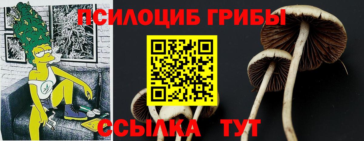 Гусев  Галлюциногенные грибы Cubensis  Вход с VPN 